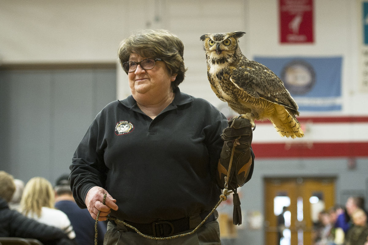 Festival of Owls 01